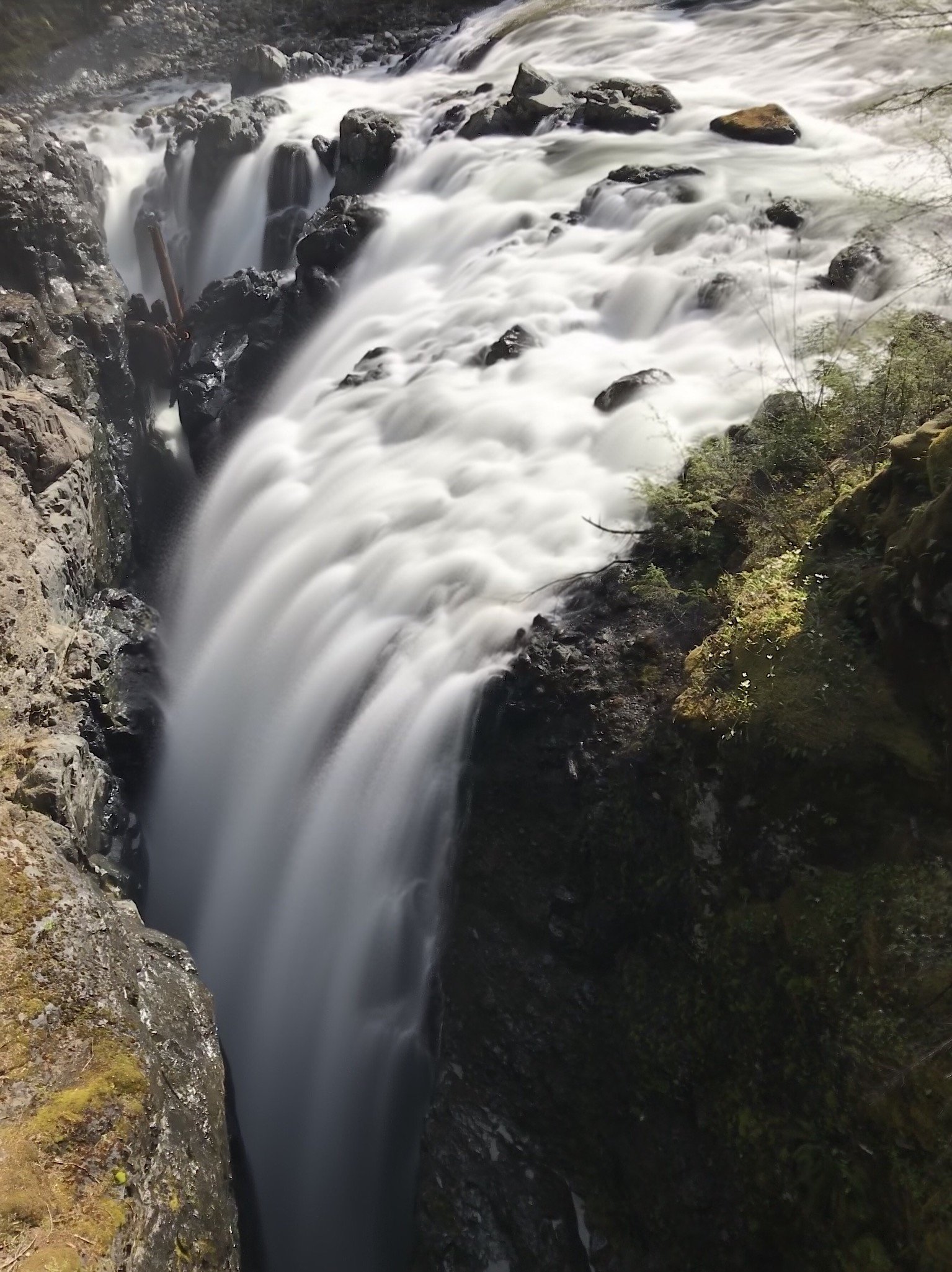 Englishman River Upper Falls, Englishman River Falls Park