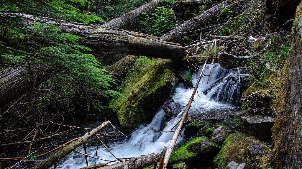 Falls Creek waterfall