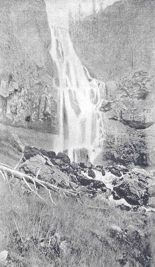 Osprey Falls waterfall