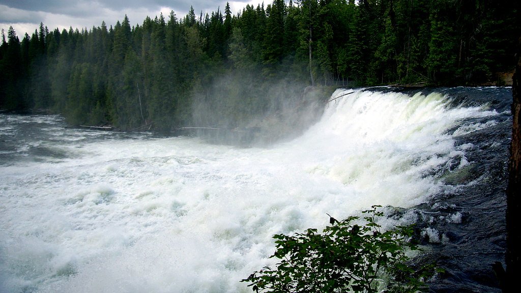 Dawson Falls waterfall