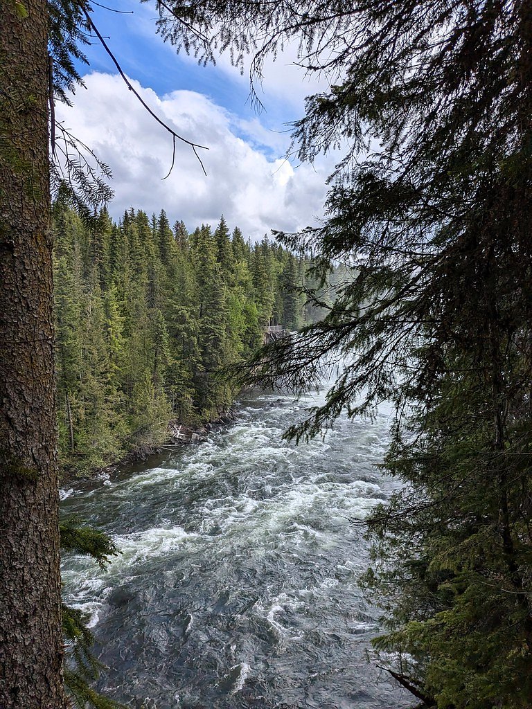 Dawson Falls waterfall