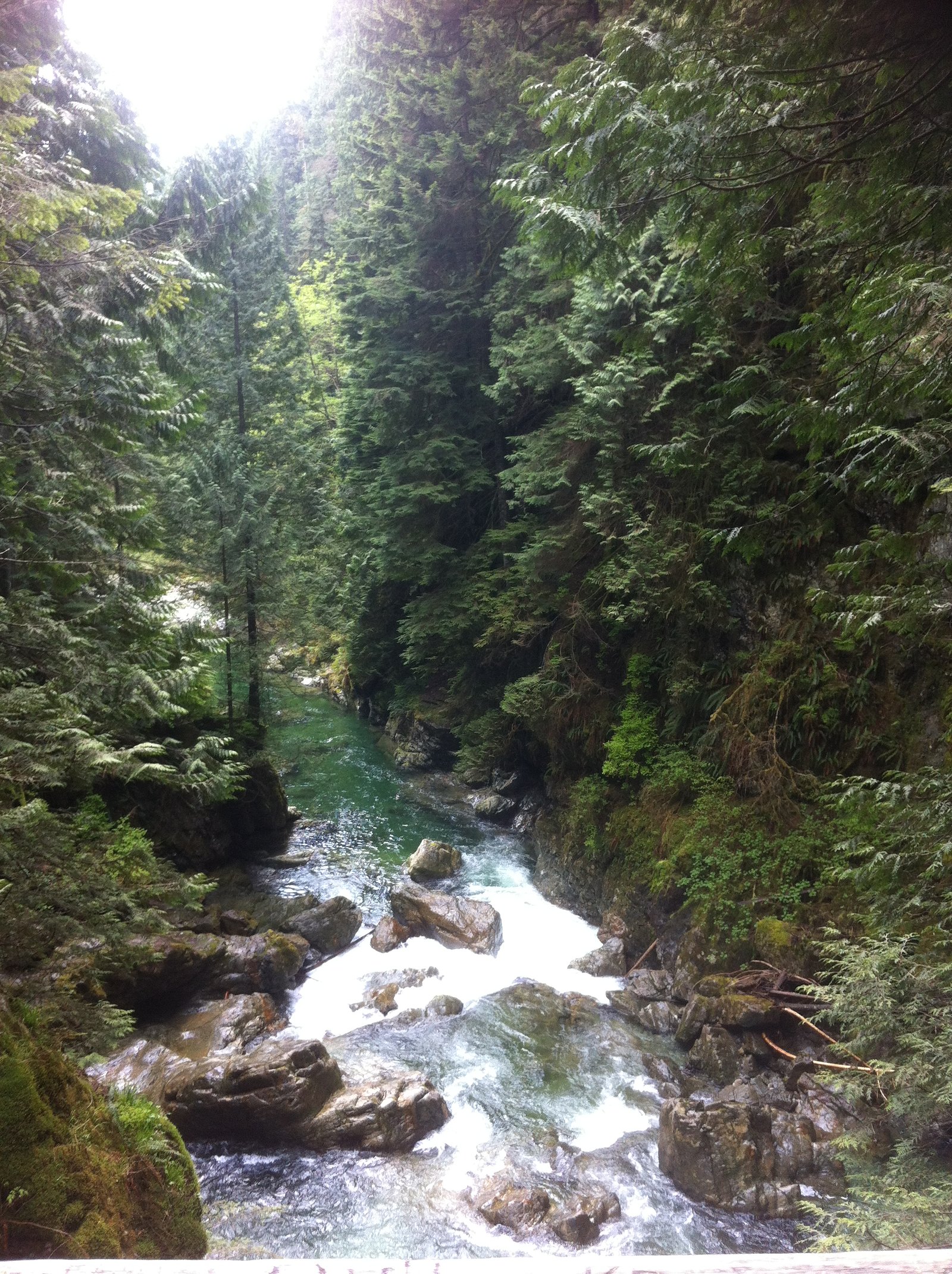 Twin Falls waterfall