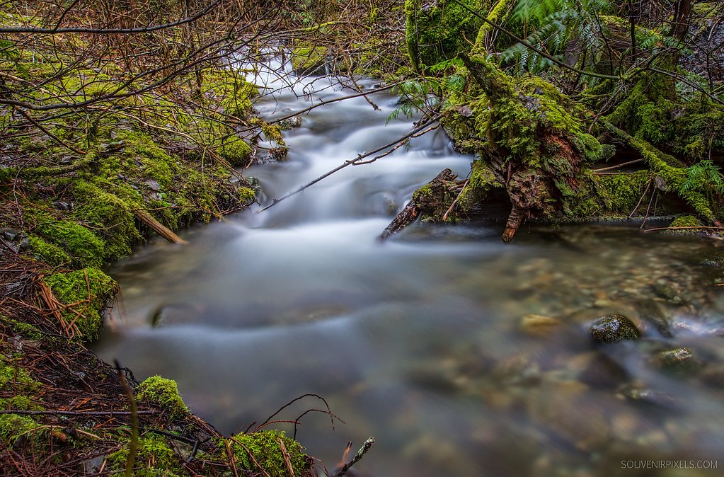 Pemberton Creek Falls waterfall