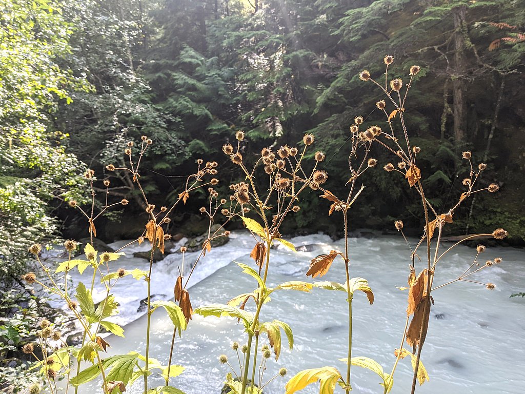 Pemberton Creek Falls waterfall