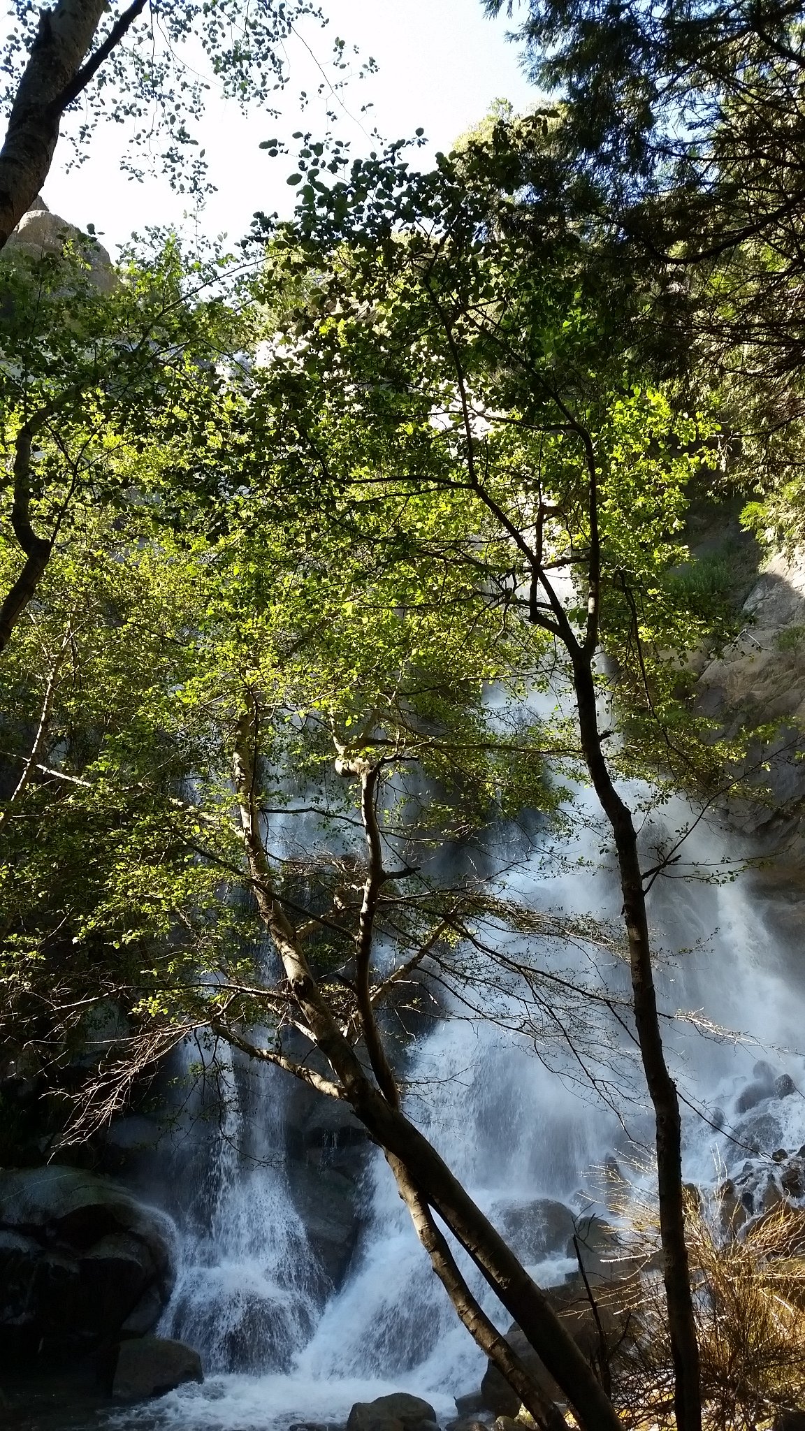 Grizzly Falls waterfall