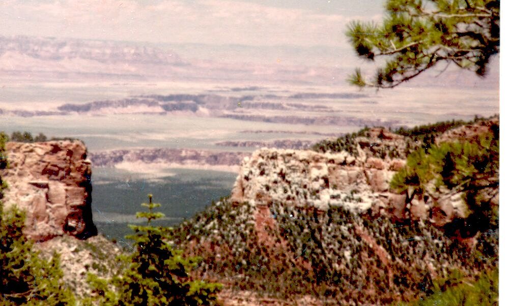 Marble Canyon, Carmanah Walbran Park