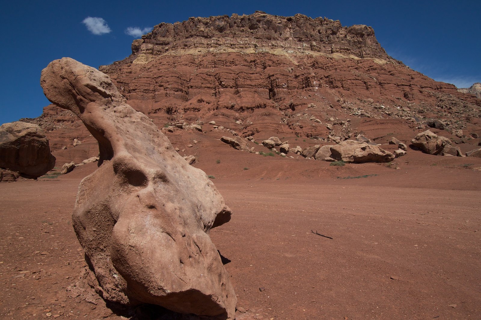 Marble Canyon, Carmanah Walbran Park