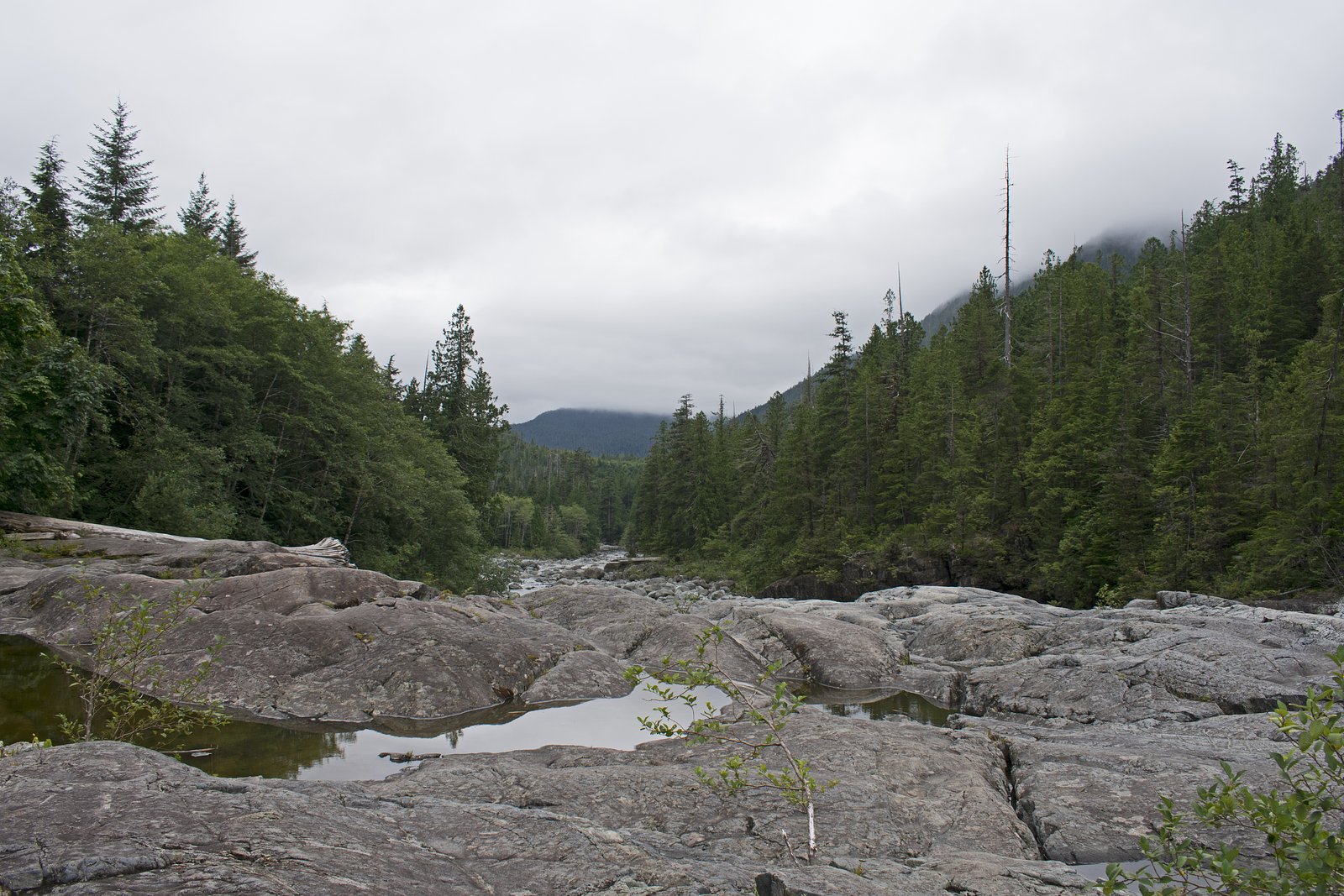 Kennedy River Falls waterfall