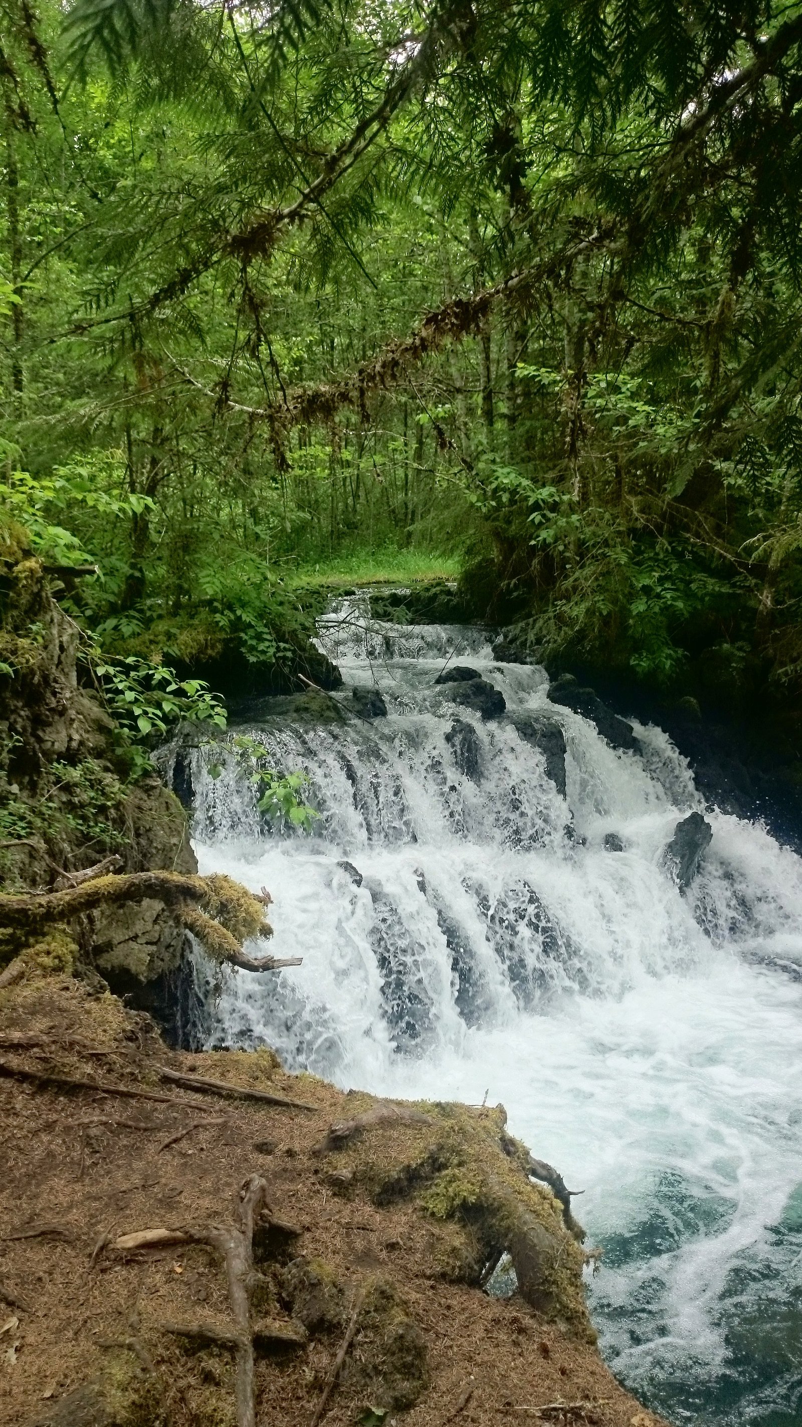Vetter Falls waterfall