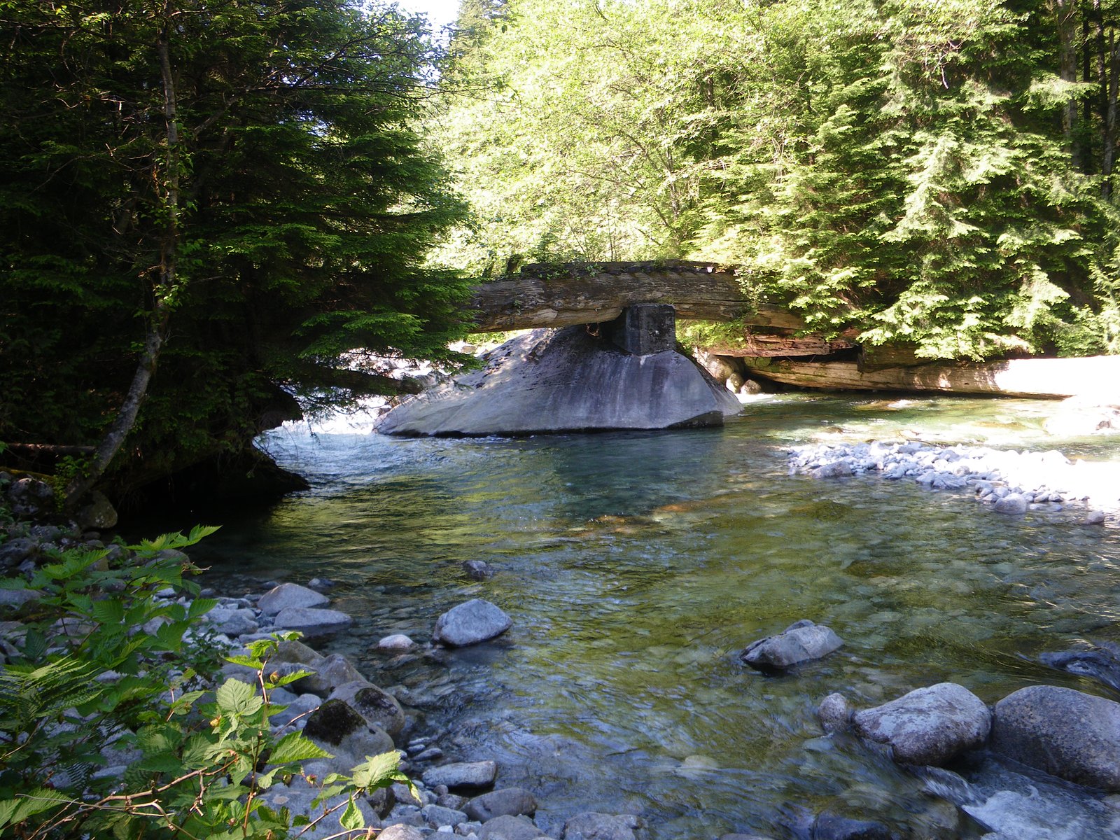 Hanging Creek Falls, Pinecone Burke Park