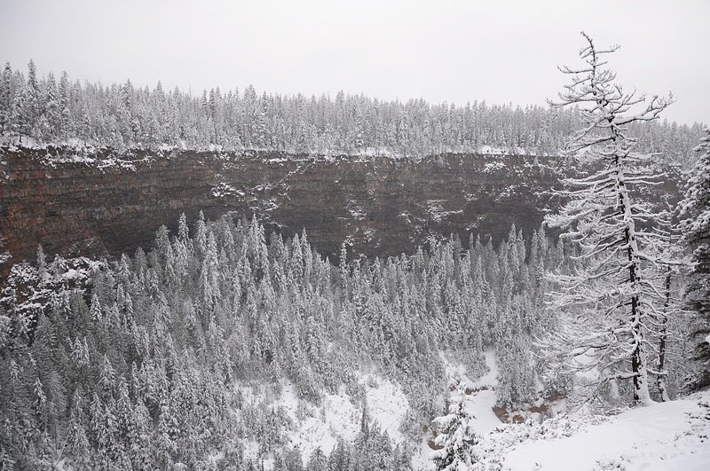 Cougar Falls waterfall