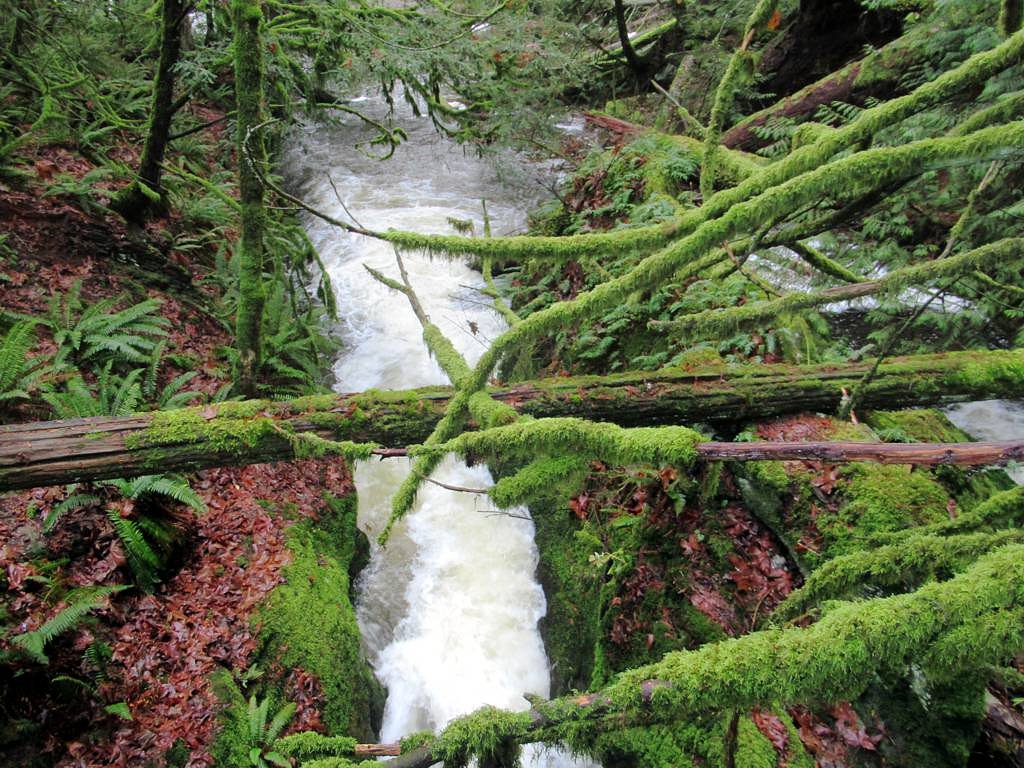 Granny Falls waterfall