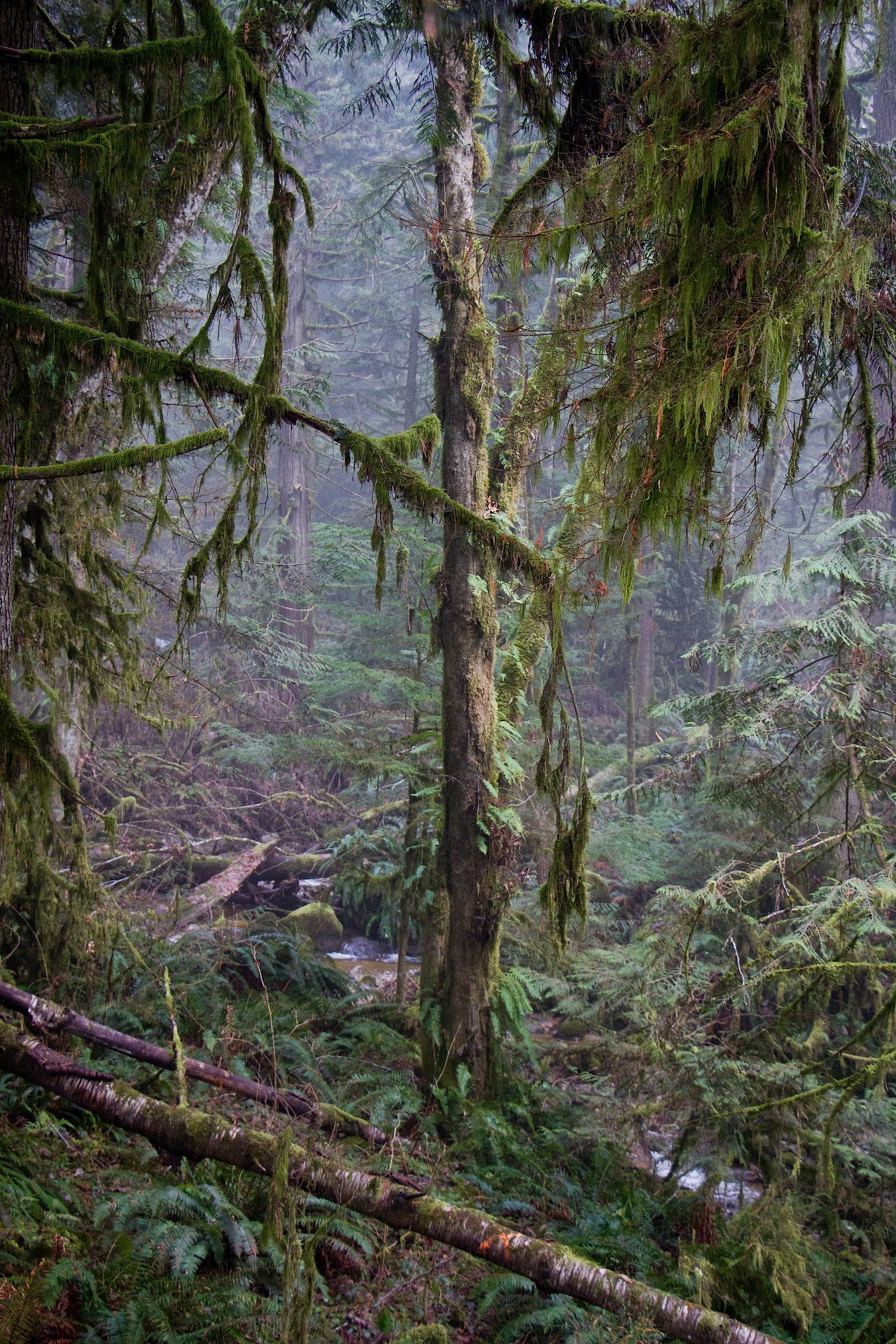 Burnett Falls waterfall