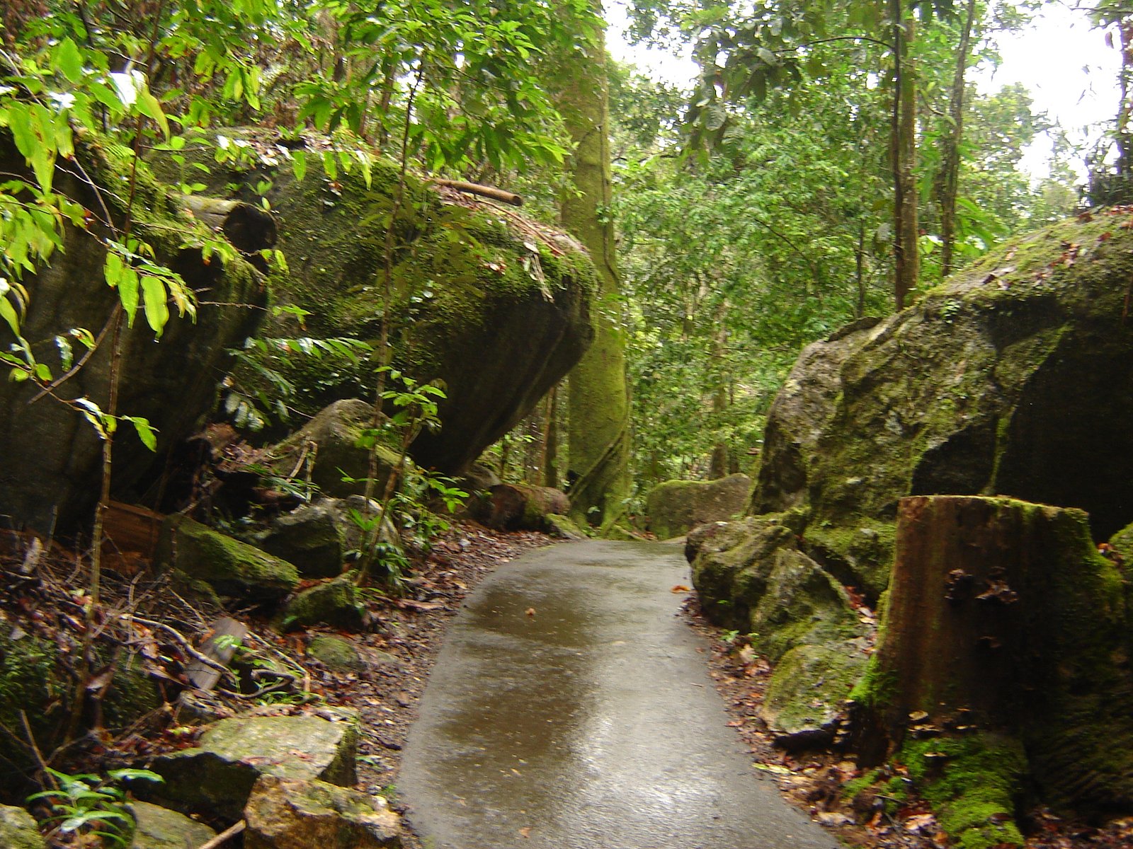 Josephine Falls waterfall