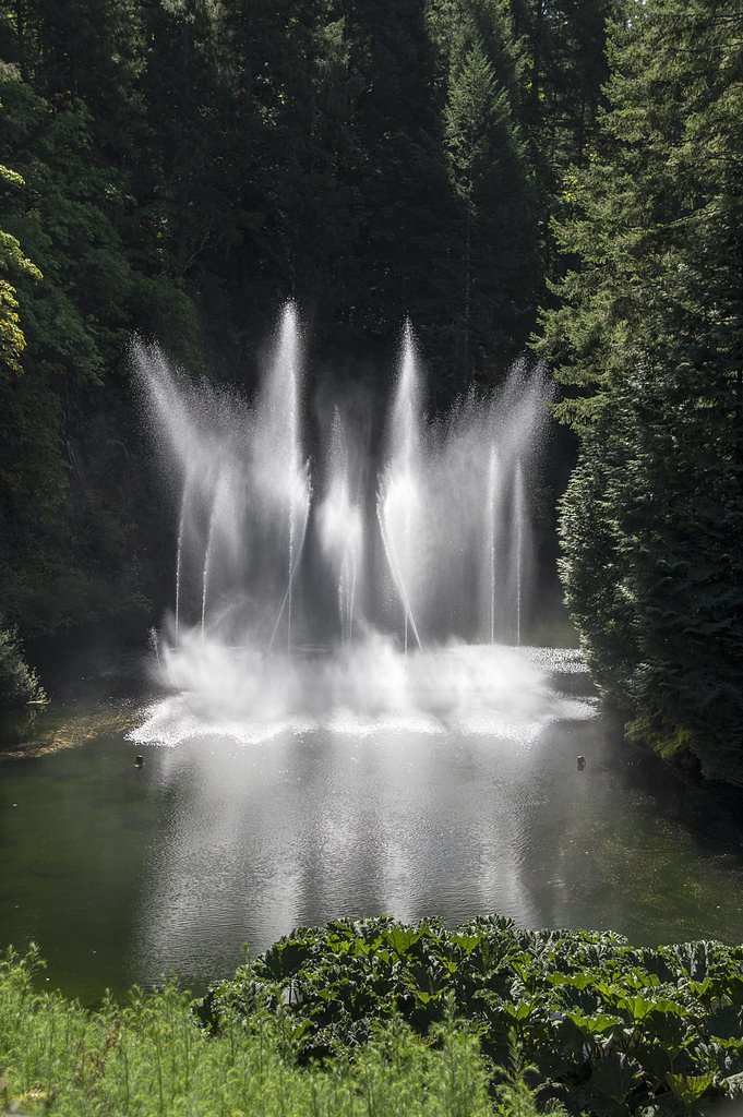 Twin Waterfall waterfall
