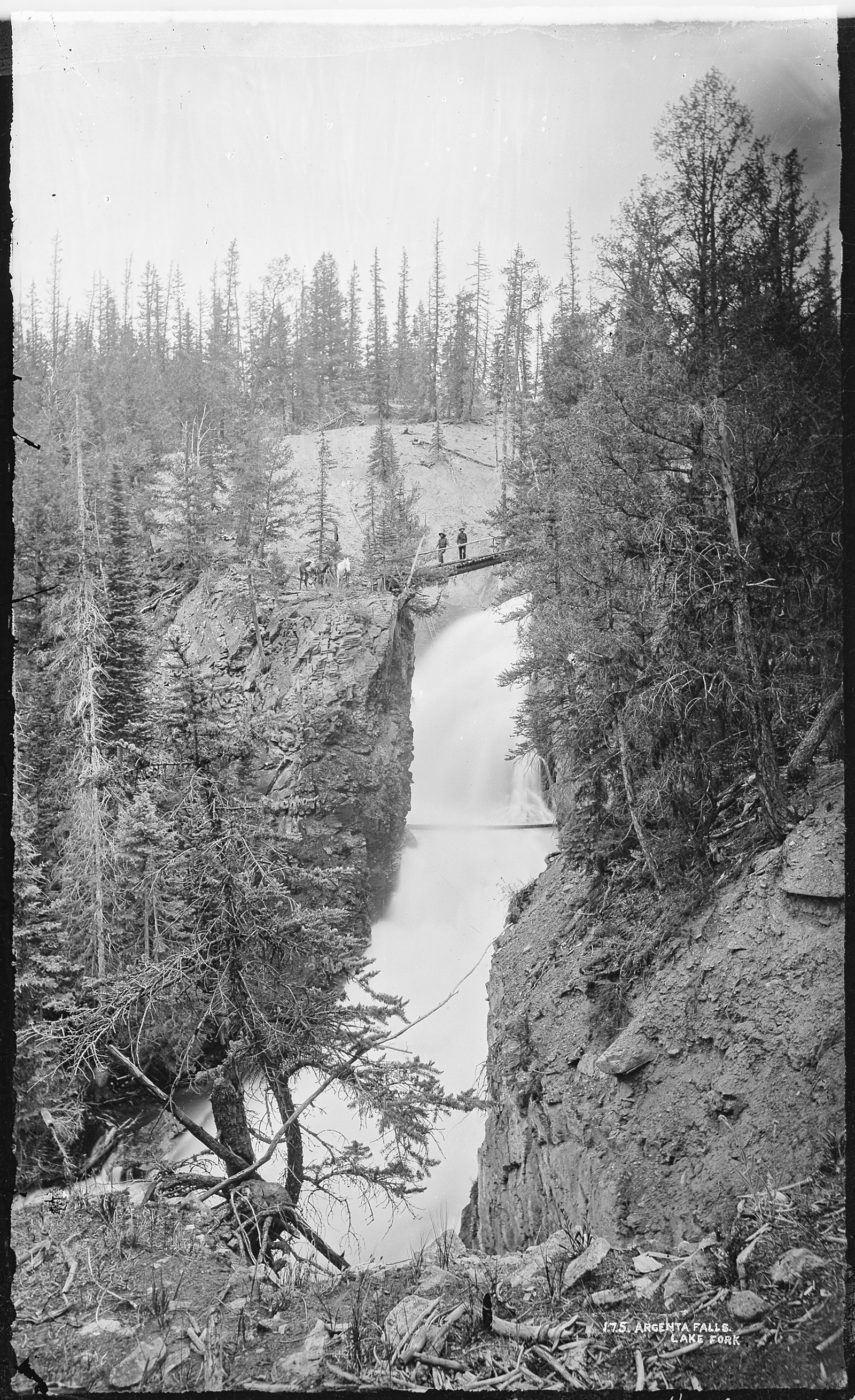 Argenta Falls waterfall