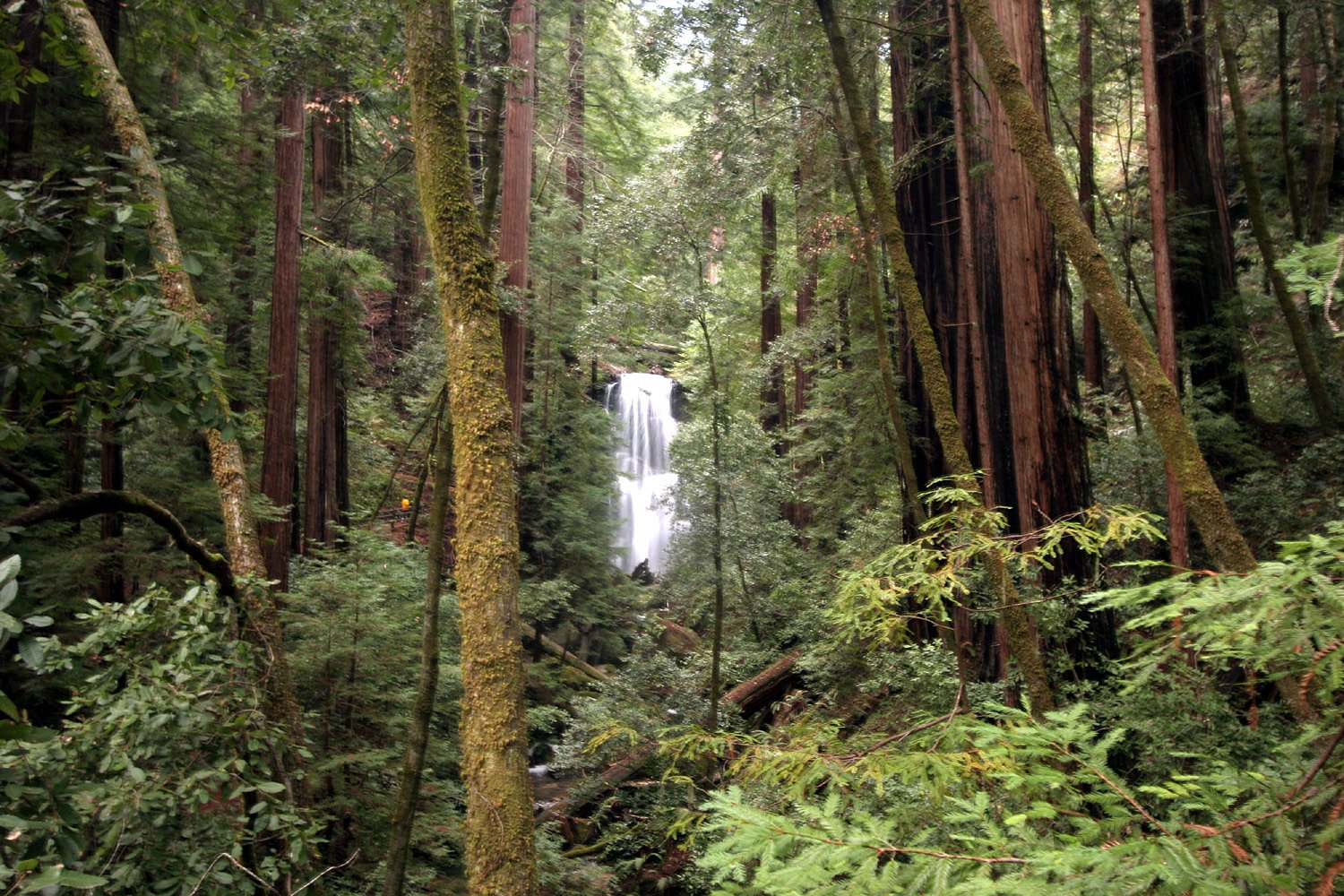 Berry Creek Falls waterfall