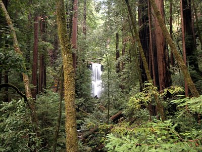 Berry Creek Falls, OR