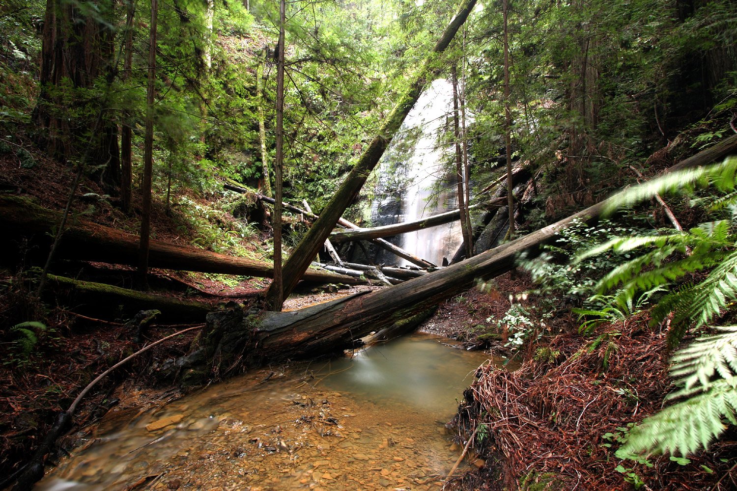 Berry Creek Falls waterfall