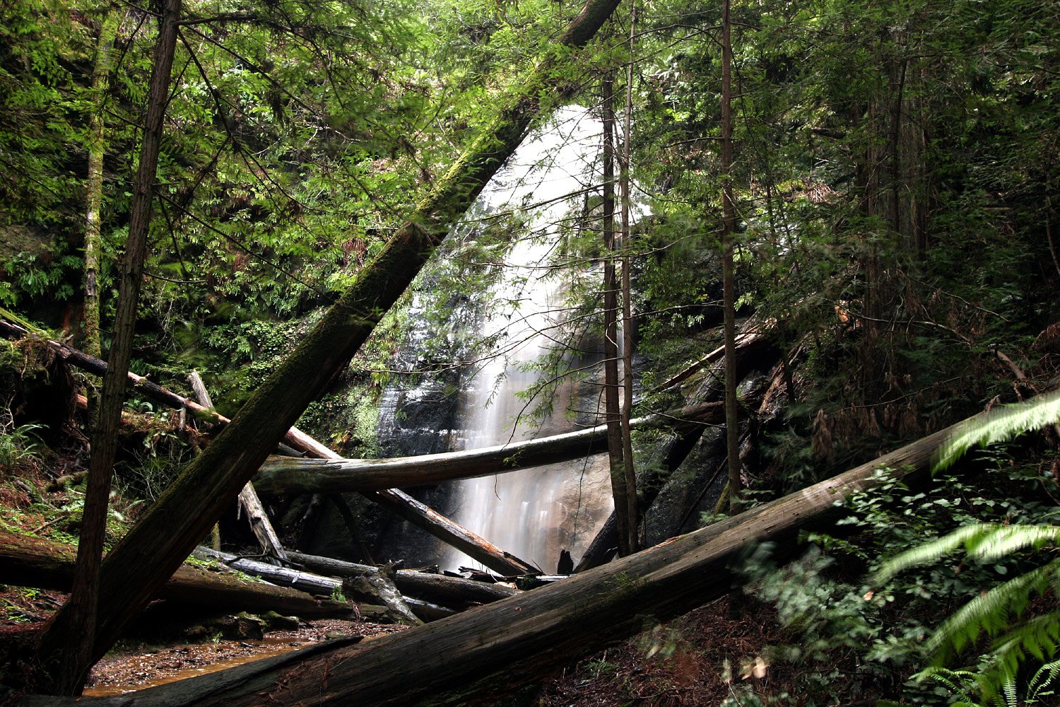 Berry Creek Falls waterfall