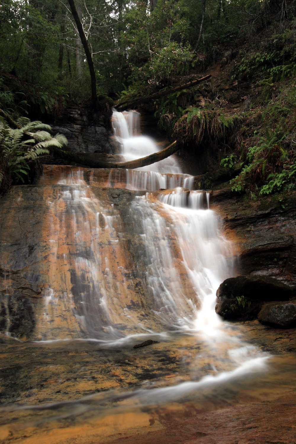 Berry Creek Falls waterfall