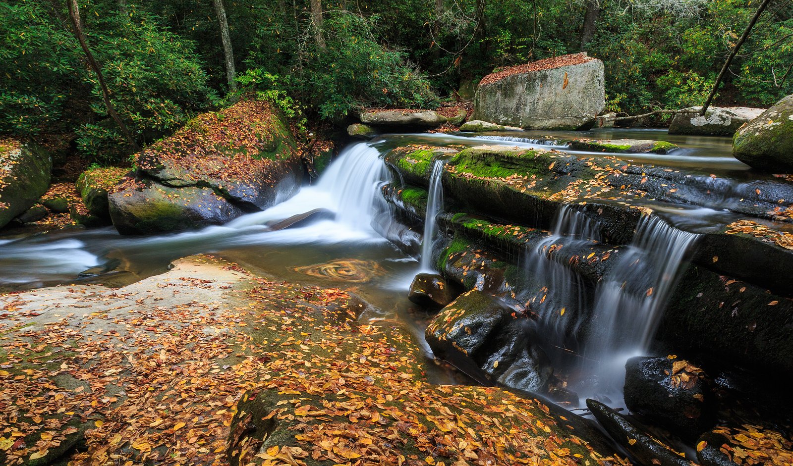 Bird Rock Falls waterfall