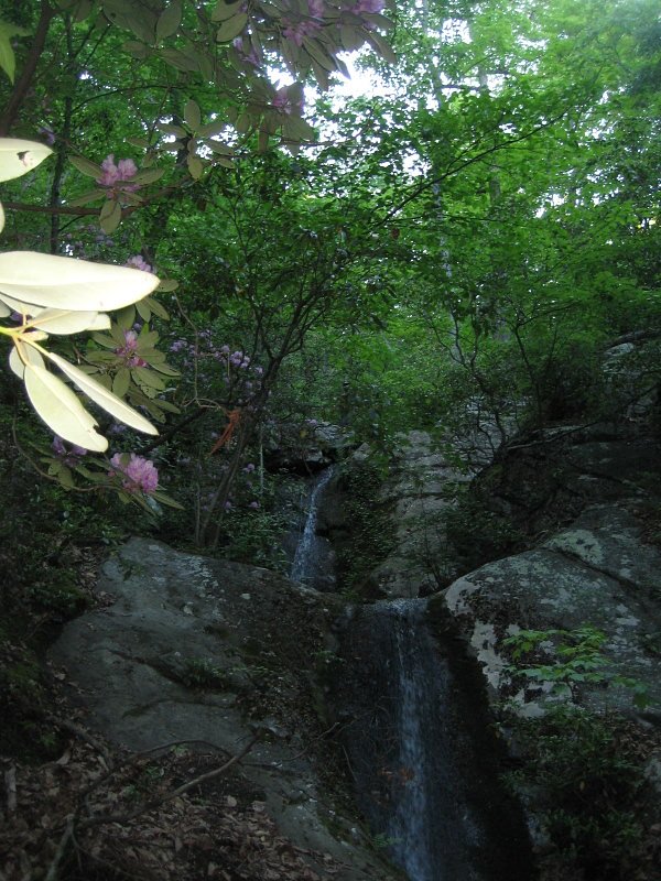 Blue Suck Falls waterfall