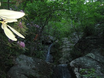 Blue Suck Falls, VA
