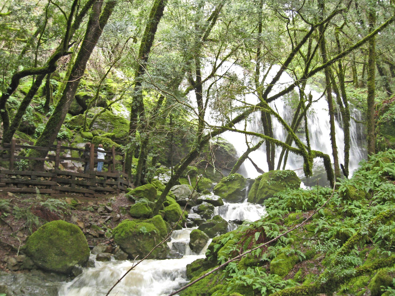 Cataract Falls waterfall