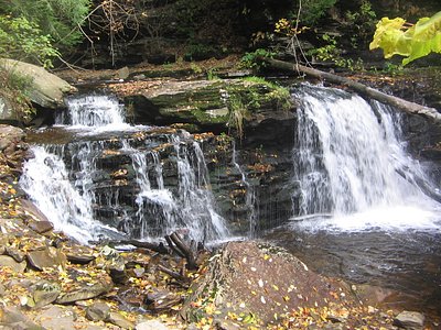 Cayuga Falls, PA