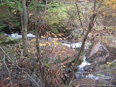 Conestoga Falls, PA