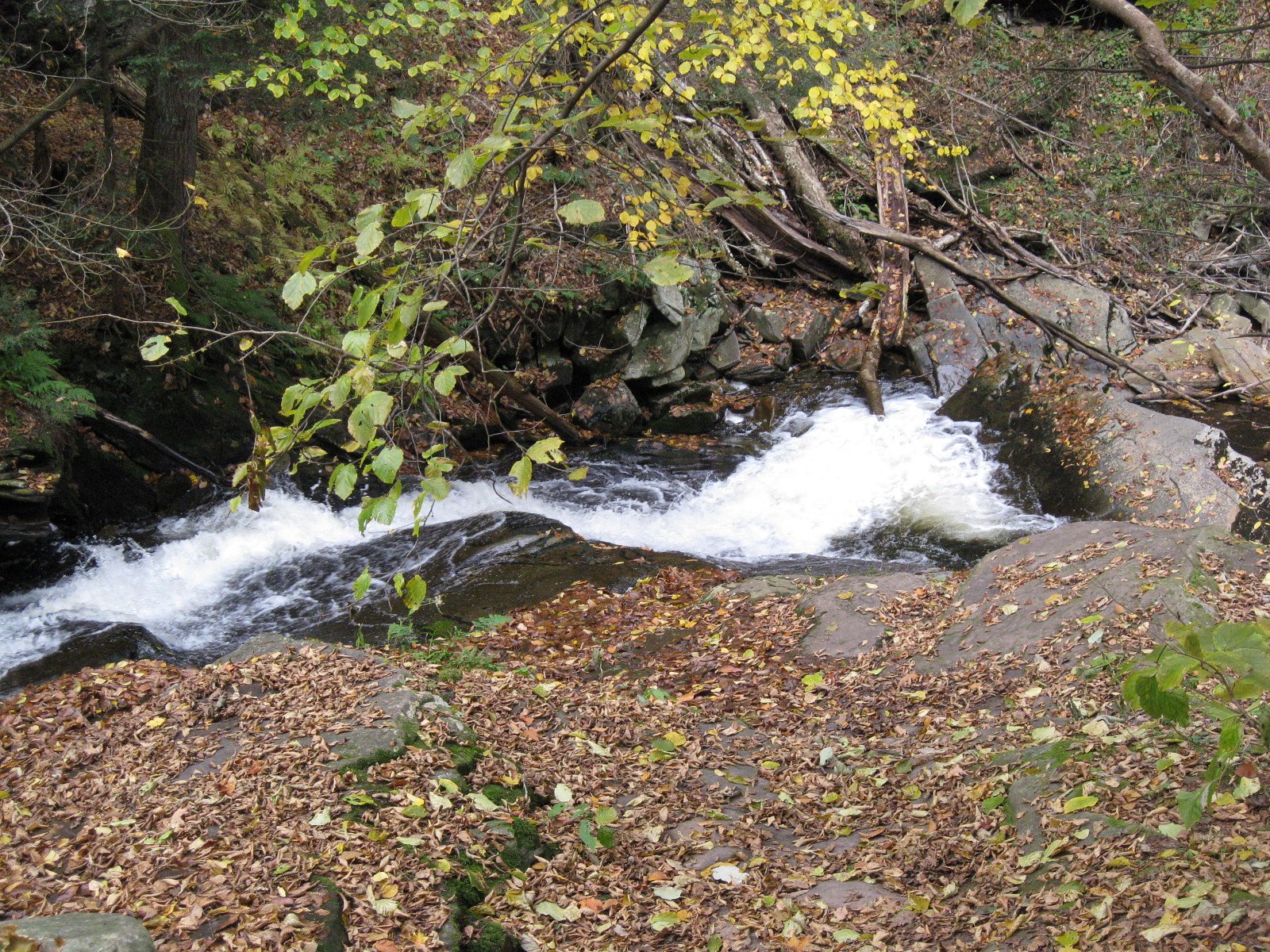 Conestoga Falls waterfall