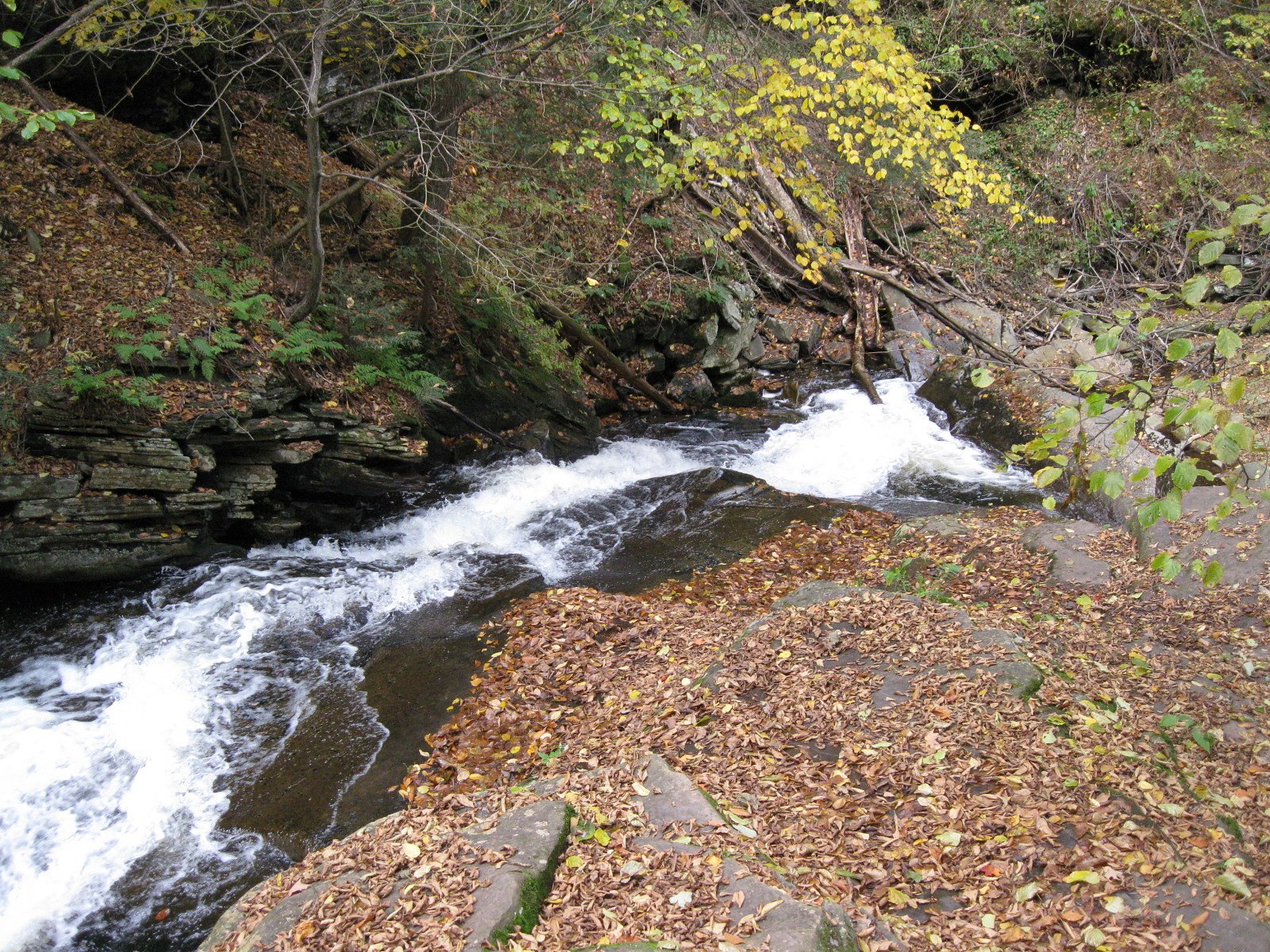 Conestoga Falls waterfall