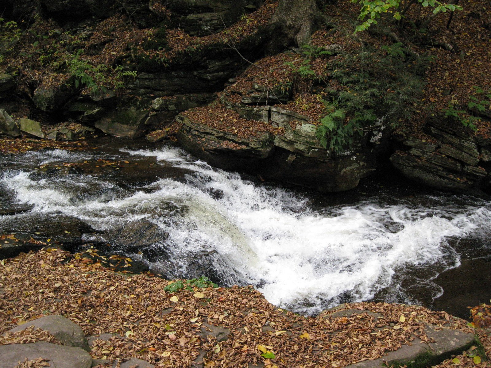 Conestoga Falls waterfall
