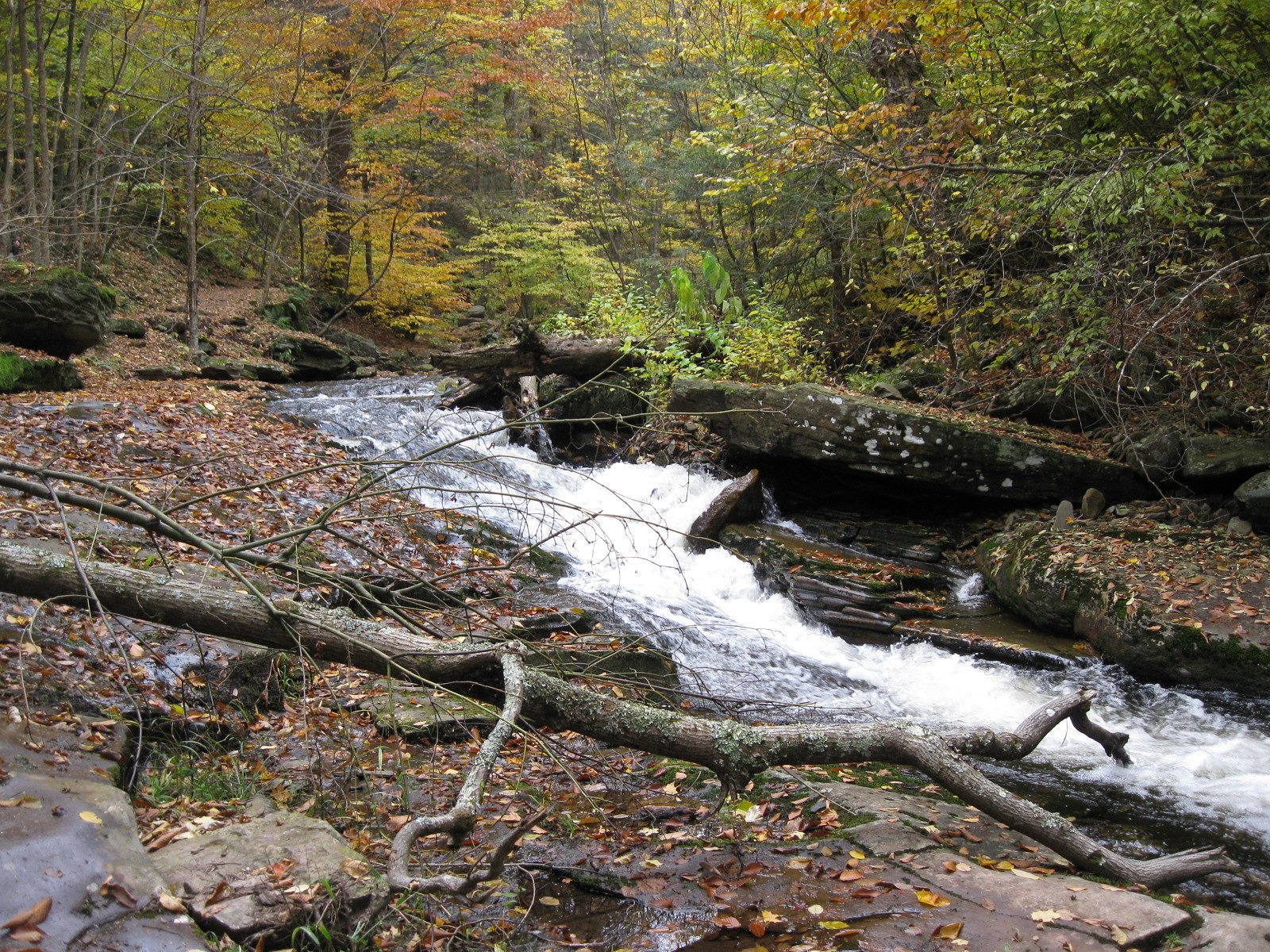 Conestoga Falls waterfall
