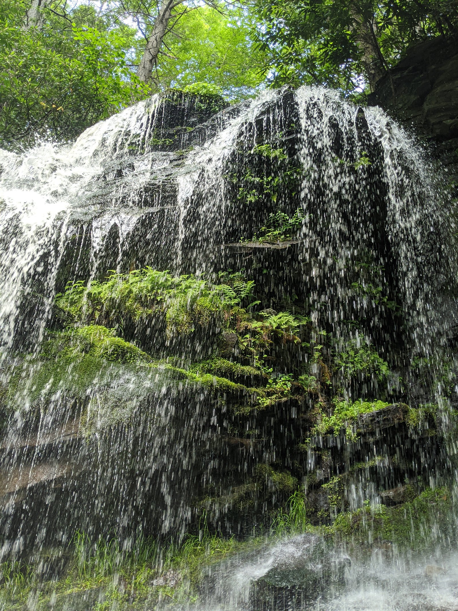 Denton Falls waterfall