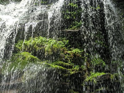 Denton Falls, NY