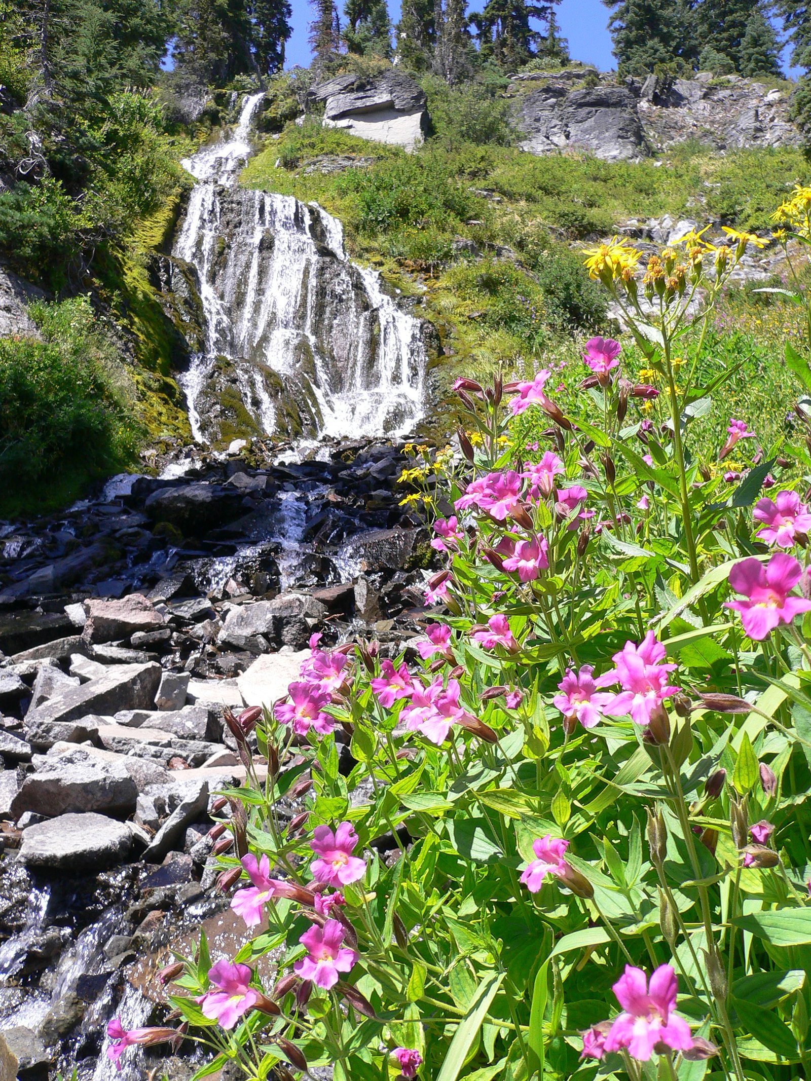 Duwee Falls waterfall