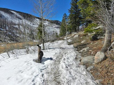 Grace Falls, CO