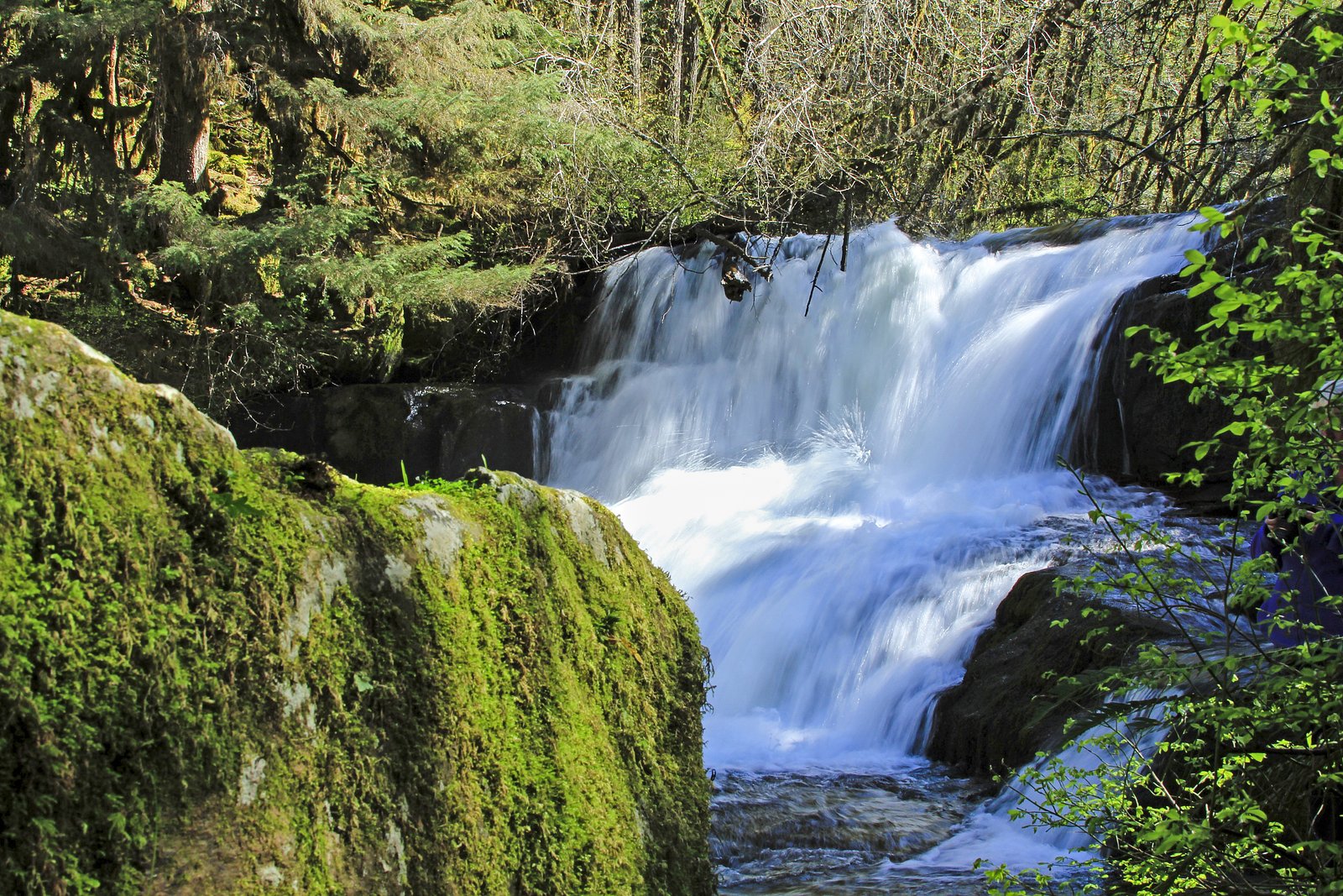Green Peak Falls waterfall