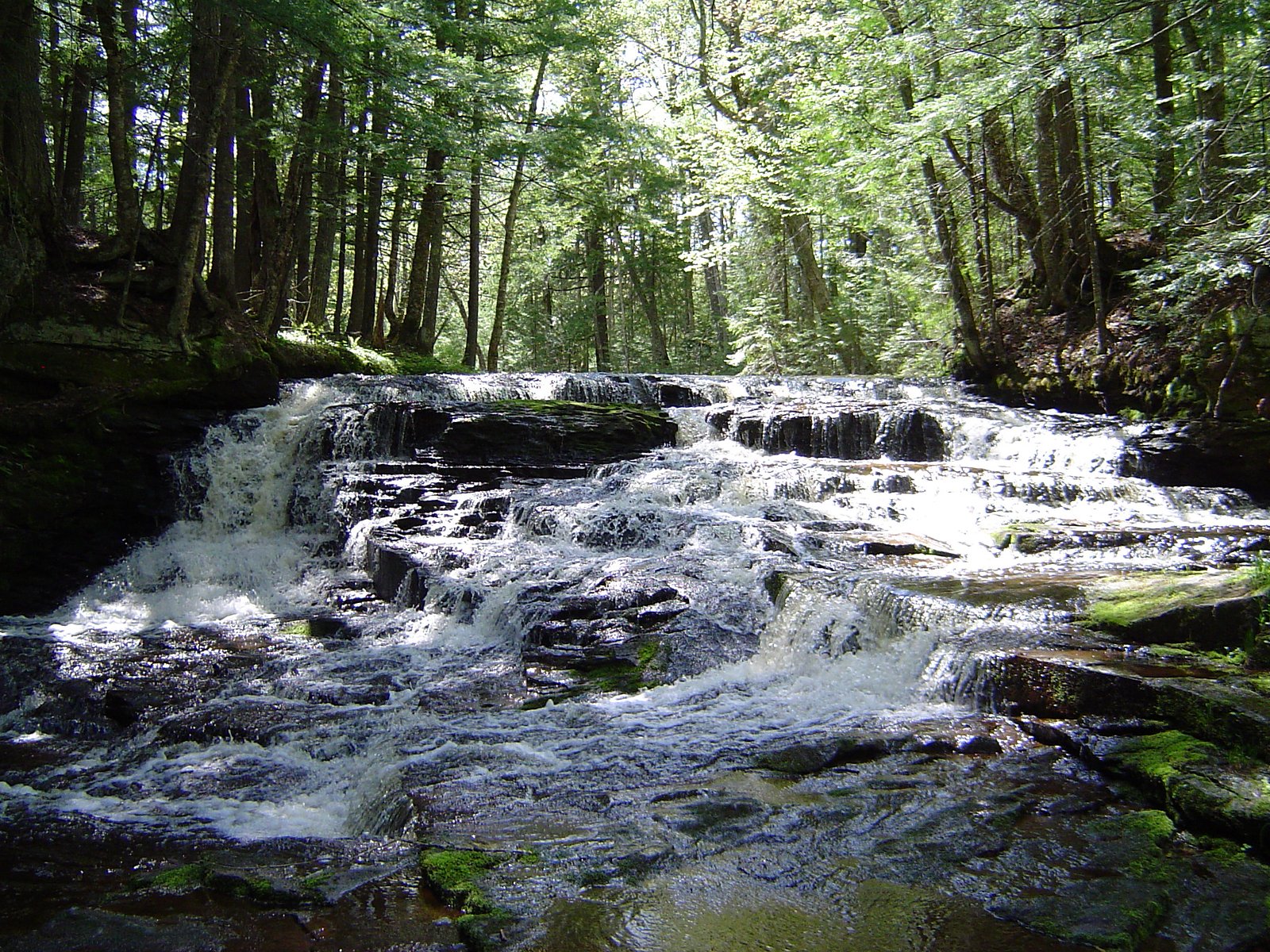 Hogger Falls waterfall