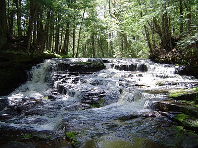 Hogger Falls, MI
