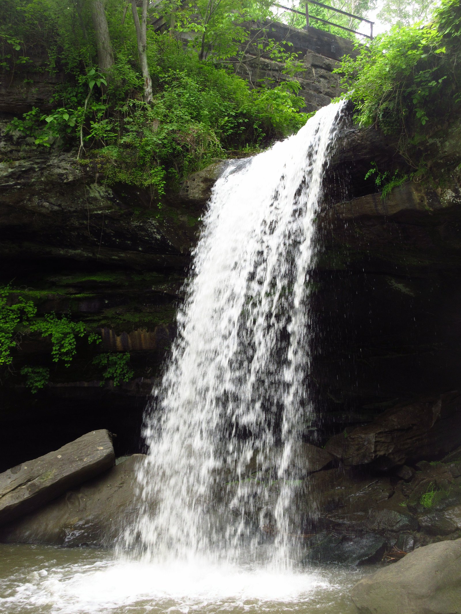 Homewood Falls waterfall
