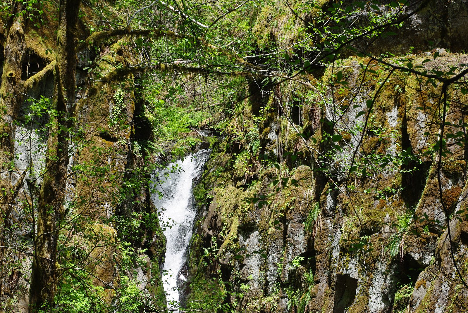 Ki-a-Kuts Falls waterfall