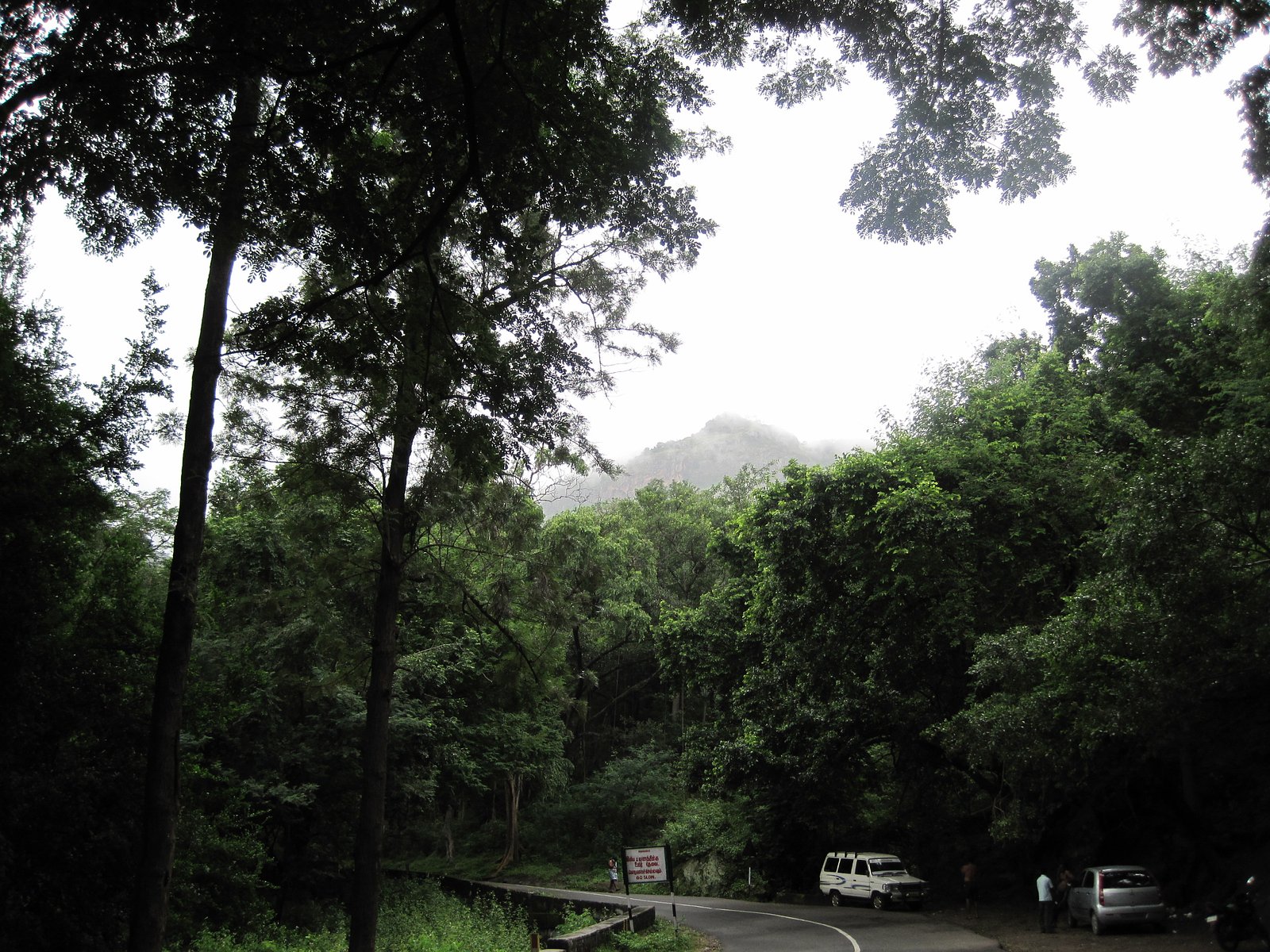 Monkey Falls waterfall