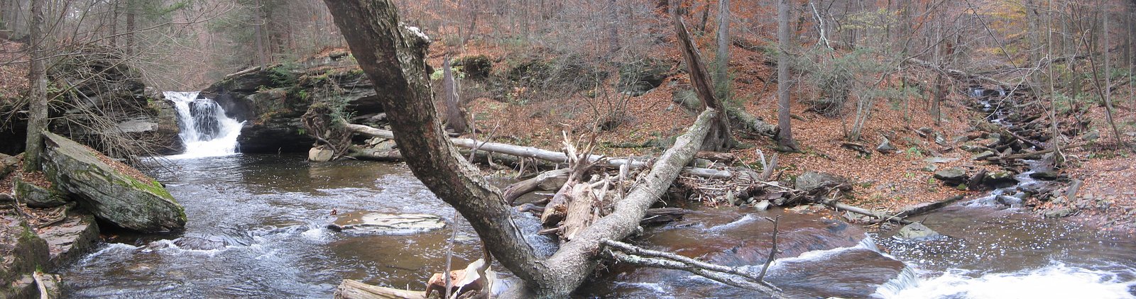 Murray Reynolds Falls waterfall