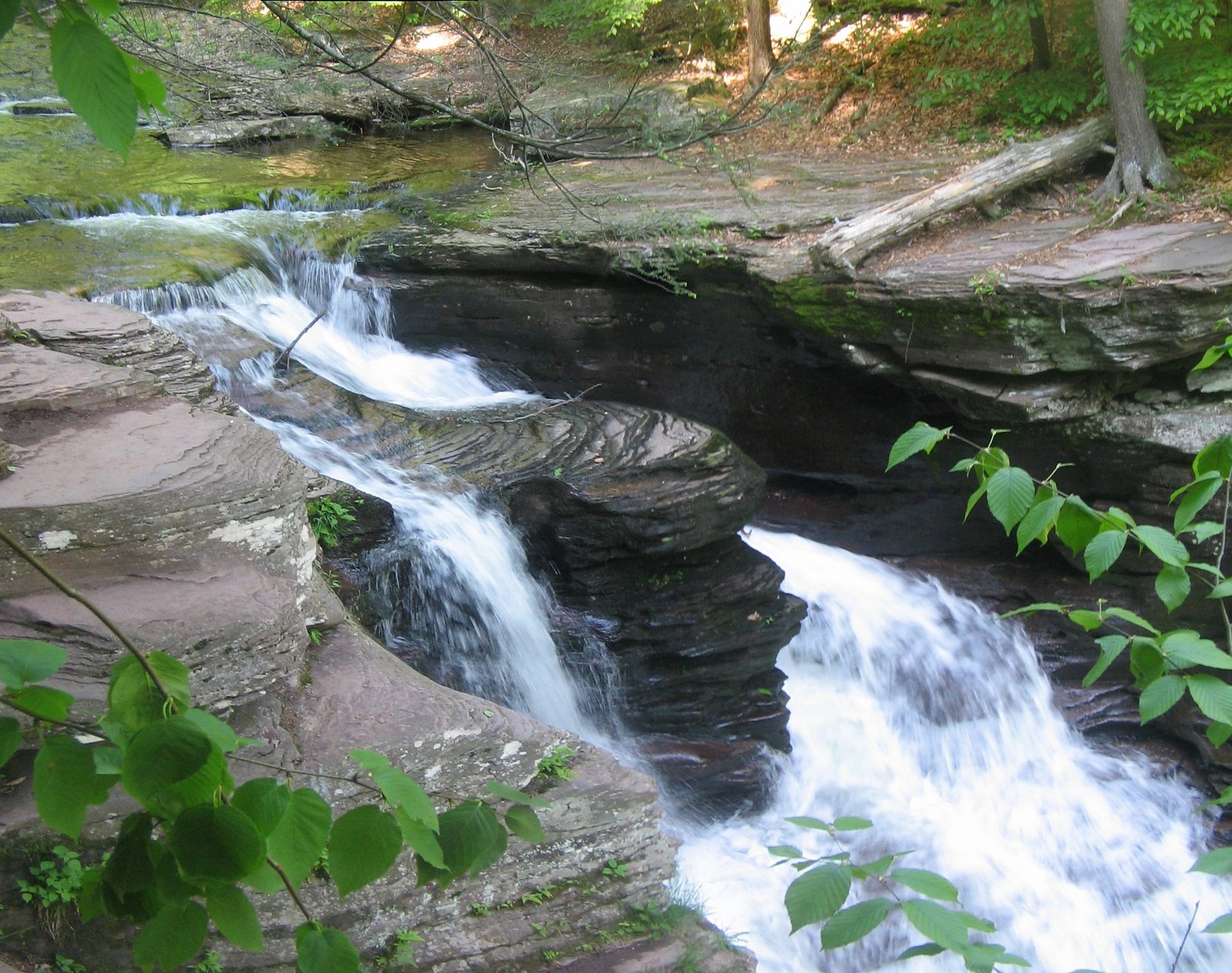Murray Reynolds Falls waterfall