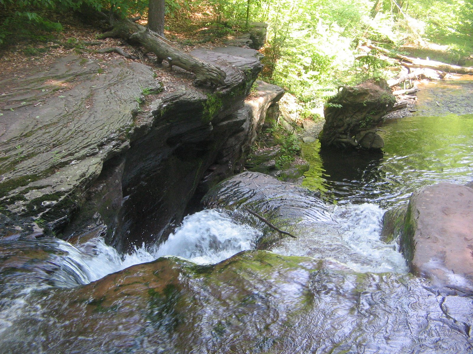 Murray Reynolds Falls waterfall