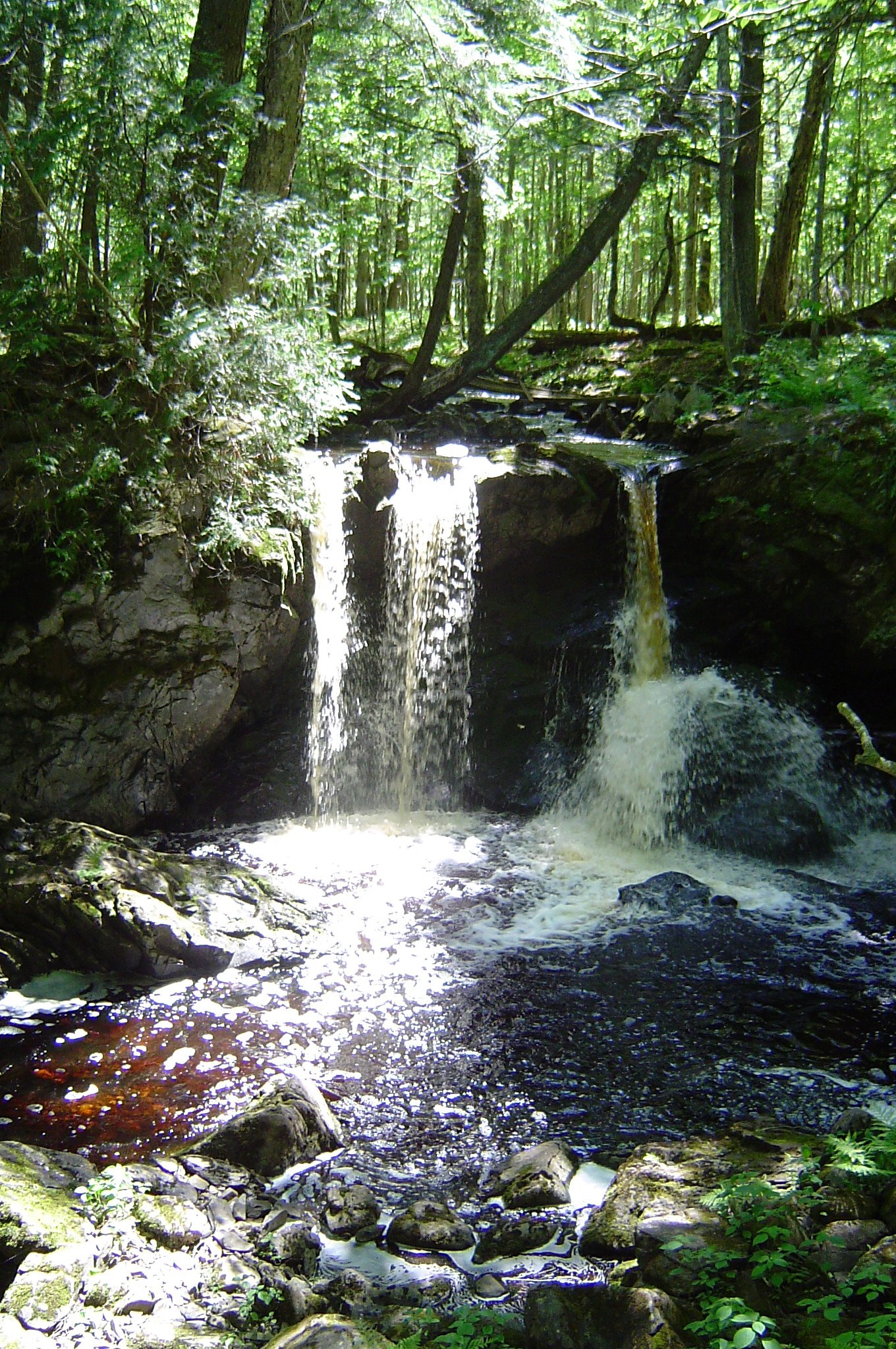 Nelson Canyon Falls waterfall
