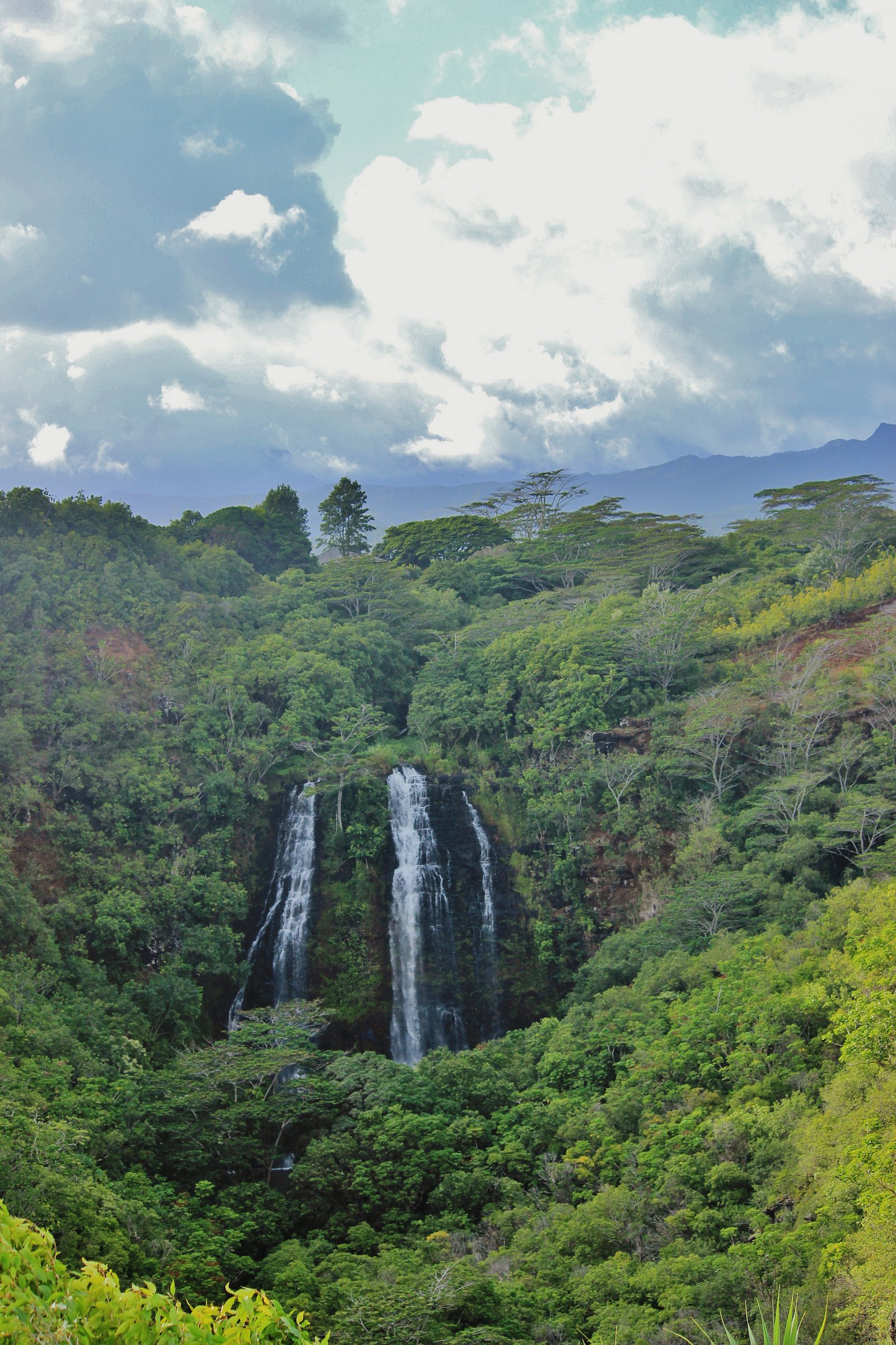 ʻŌpaekaʻa Falls waterfall